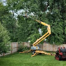 Best Tree and Shrub Care  in Orange Lake, NY